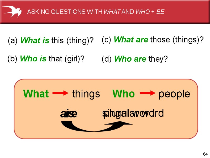 64 is singular word plural word are (a) What is this (thing)? (b) Who